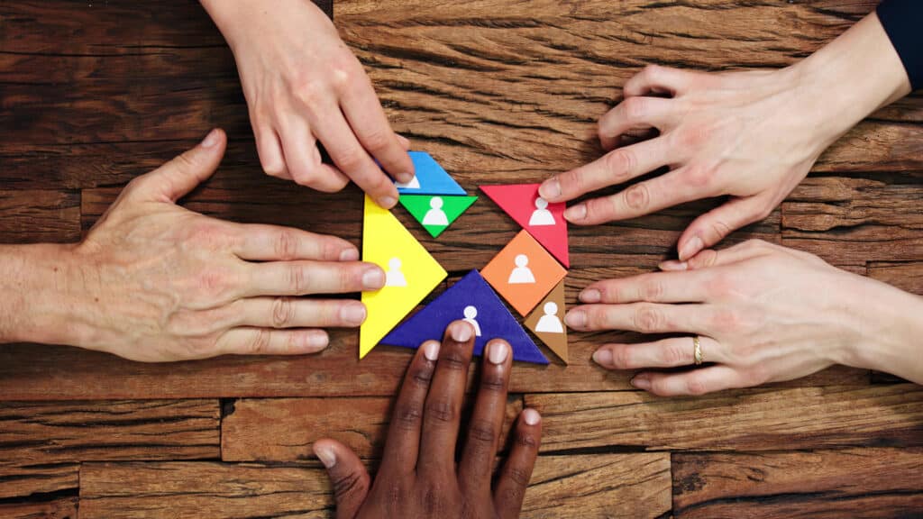Call International : DISC TRAINING : COLLABORATE BETTER AS A TEAM / Pour mieux collaborer en équipe / BETER SAMENWERKEN IN TEAMVERBAND